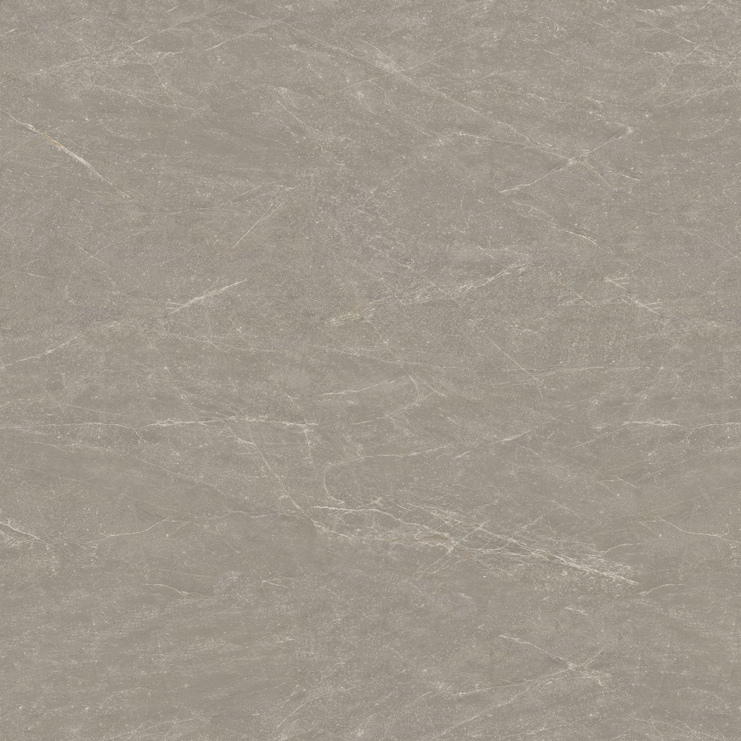 Advanced Grey 4.0 - 8913