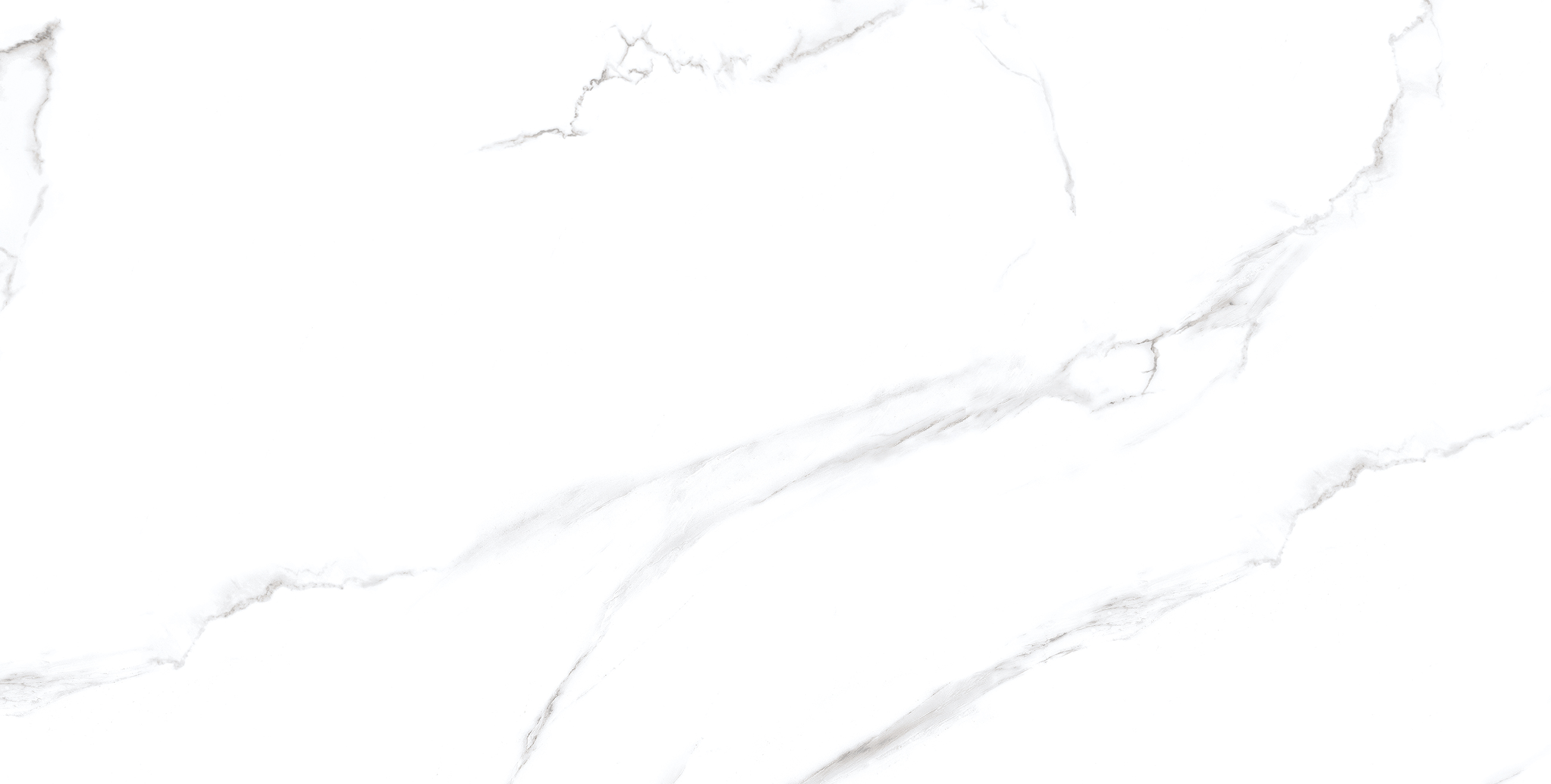 12BT99901-3